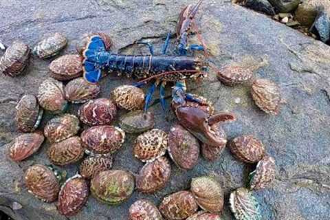 ITS ABALONE SEASON ! Big Lobster Catch Clean Cook