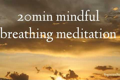 20min mindful breathing meditation | relaxation | stress relief