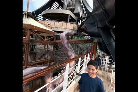 MSC SEASHORE CRUISE JAN 2024