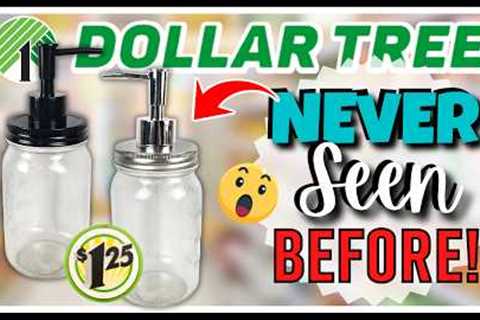 DOLLAR TREE Finds You NEED to Haul NOW | BEST 2024 SPRING Scores YET | New DECOR &amp; So Much More!