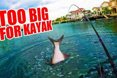 Big Tarpon Pulls Kayak Around (Catch And Cook)