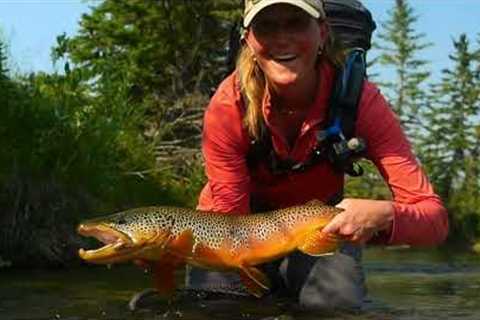 Breaking Down a TINY Brown Trout Spring Creek - PART 1
