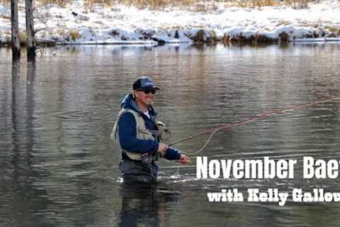 THE FLY SHOW with Kelly Galloup: Ep 4. November Dry Fly Fishing