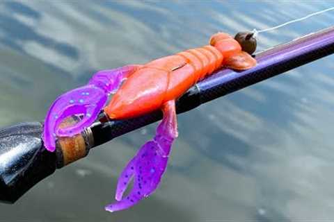 Soft Plastics | One Day Build to Catch
