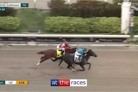 What a win! Could $1m colt Conquest Warrior be a Kentucky Derby horse?