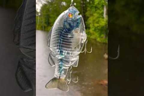 I Caught A MONSTER Bass On A $110 Glidebait!