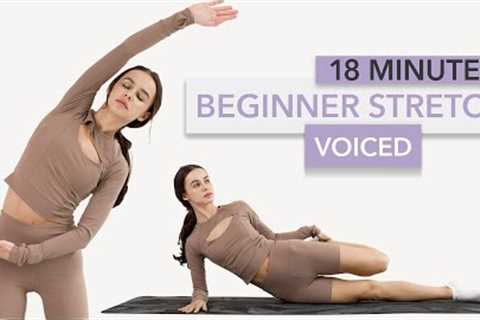 Stretching for Beginners to Improve Flexibility and Relieve Stress