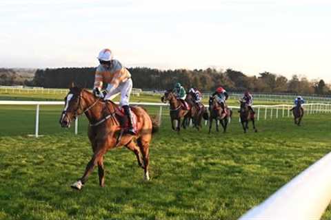 MAUGHREEN the machine. Faugheen’s relative enters Champion Bumper reckoning with Punchestown win