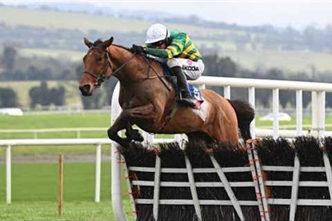 MYSTICAL POWER, son of Annie Power, rockets to head of Supreme market