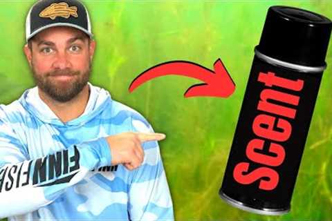 FISH ATTRACTANTS...What You Should Know