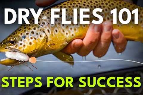 Beginner's Guide to Dry Fly Fishing — 6 Steps to Success! | Module 6, Section 2