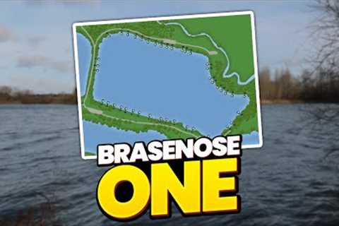 Solid Bag &amp; Zig Fishing at Brasenose One | Zig Fishing Tips &amp; Best Moments At B1 Linear..