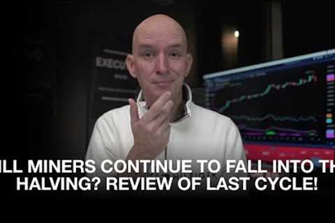 Review of Last Halving Cycle. Will Miners Repeat It Now? Miners Hashrate &amp; BTC 1 Year Review!