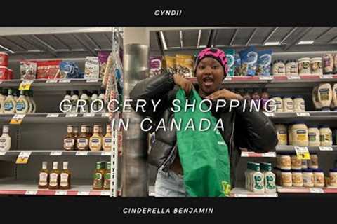 HOW MUCH I SPEND ON GROCERIES IN CANADA