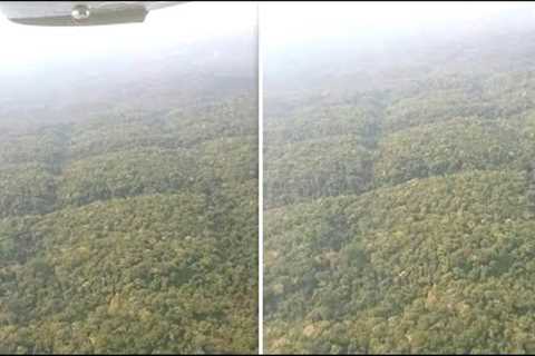 Scientists Just Accidentally Found That Something Big Opened Up In The Middle Of The Amazon Jungle