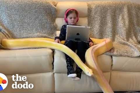Little Girl Has Tea Parties With Her 16-Foot Python | The Dodo