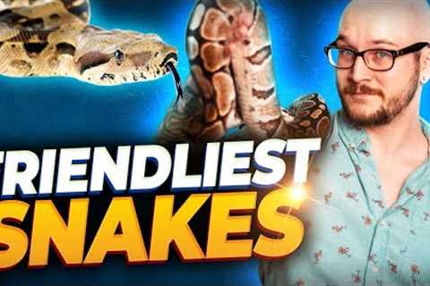 The 5 Friendliest Pet Snakes You Can Own! | Meet My New and Rare Snake!