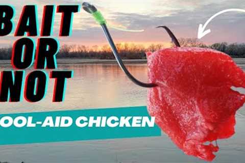 Kool-Aid and Jell-O CHICKEN Bait Catfishing La Cygne Lake Hot Water Outlet 2024 #damfishing #bait