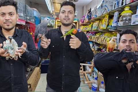 Stock Updated 12 January 2024 Wajid Exotic Pets (7977242721)