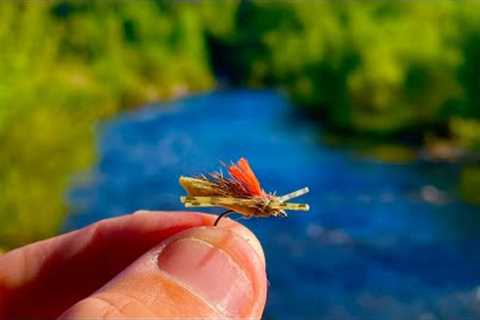 Fly Fishing with Grasshoppers for Brown Trout