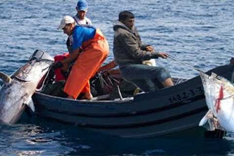 Amazing Strongest Giant Bluefin Tuna Fishing Skill - Amazing big catch fishing in the sea