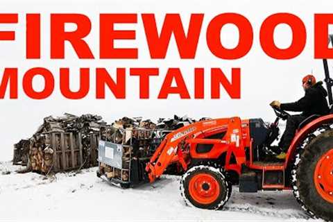 FIREWOOD MOUNTAIN IS GROWING FAST TODAY!