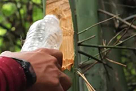 Readers’ Survival Tip: Bamboo Water Fountain
