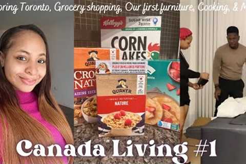 Setting up our first Furniture💃🏻 | Huge grocery shopping, First homemade meal &amp; More!