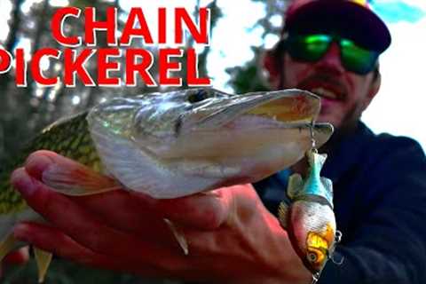 Tiny Glide Bait Fishing