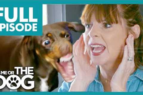 Out-Of-Control Dachshund Barks at 6AM Waking up Neighbours😅 | Full Episode | It's Me or the Dog