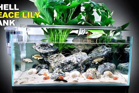 Peace Lily Shallow Shell Dwelling Fish Aquarium (Aquascape Tutorial)