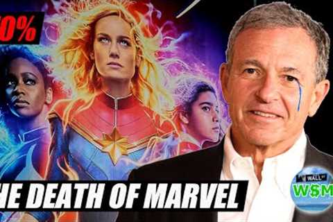 The Rise And Fall of the Marvel Cinematic Universe