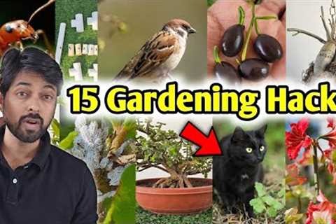 Top 15 Gardening Hacks you must know, DIY Home garden ideas (part-2)