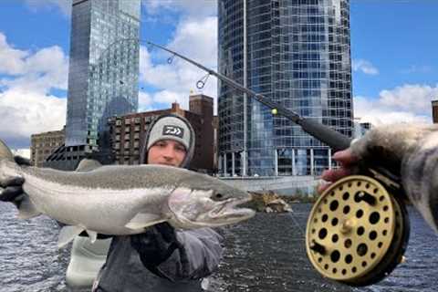 DOWN TOWN CITY Steelhead Fishing!