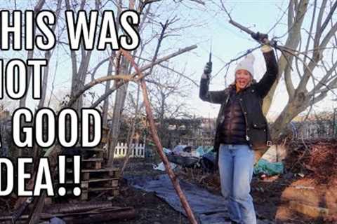 NOT A GOOD ALLOTMENT IDEA! / ALLOTMENT GARDENING FOR BEGINNERS