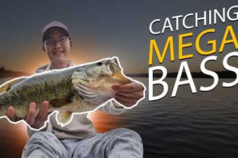 Kayak Bass Fishing Adventure: EPIC Catches on a Hidden Gem Lake!