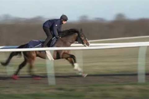 Triumph Hurdle hope Burdett Road and behind the scenes in Newmarket | This Racing Life