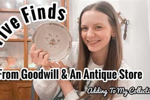 I FOUND MORE! | Antique Store &amp; Goodwill Shop With Me | + A Haul