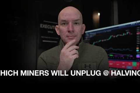 Which Miners Will Unplug At Halving? BTC Network Hashrate Vs Miners! Miners Y/Y Growth?