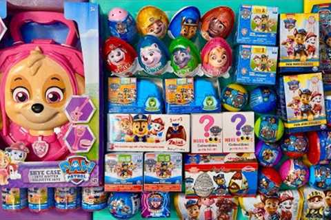 HUGE PAW PATROL SURPRISES 🐶 2024 MYSTERY BLIND BOXES Surprise Toys Collection ASMR