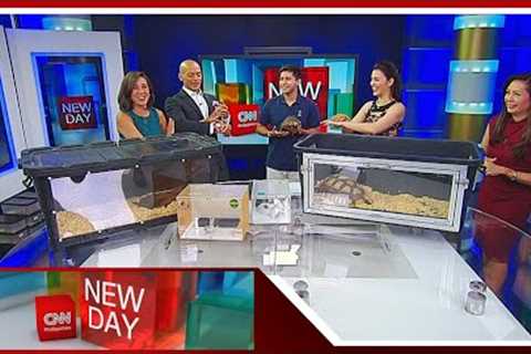 Caring for exotic pets