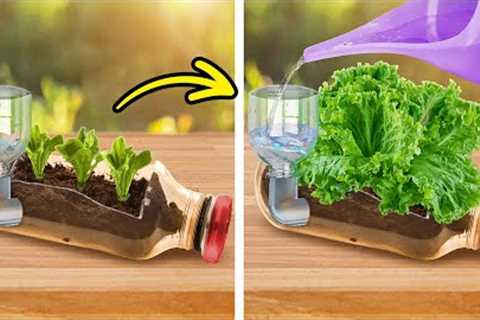 Smart Tips &amp; Crafts for a Flourishing Garden and Inviting Backyard 🌻🏡