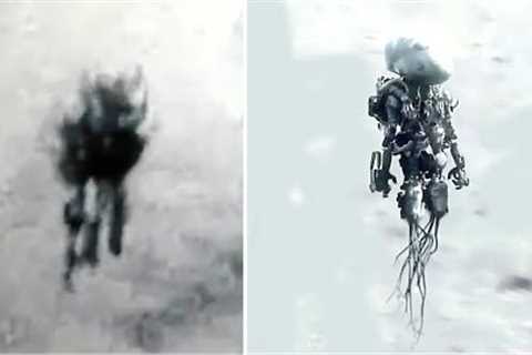 This U.S. Insider Just Responded To The Jellyfish UFO &amp; Sent Out This Message To The American..