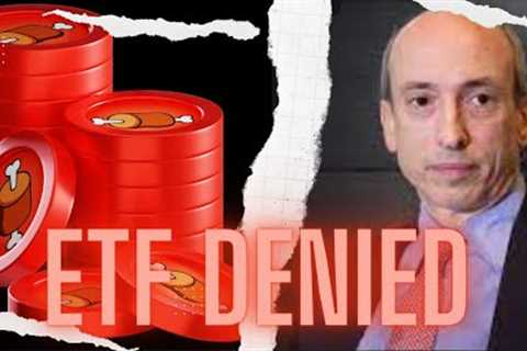 BITCOIN ETF DENIED: WHAT WILL HAPPEN TO BONE SHIBASWAP TOKEN