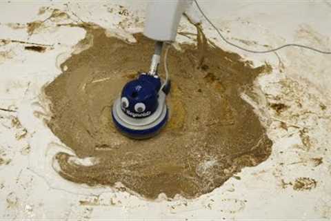 Storm Damaged Rug! So Much Mud. Is It Saveable? Satisfying ASMR Carpet Cleaning Timelapse