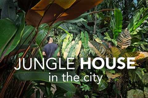 Inside a DIY Jungle Garden &amp; Art-filled Home | Garden Design Tips ft Journey Through Paradise