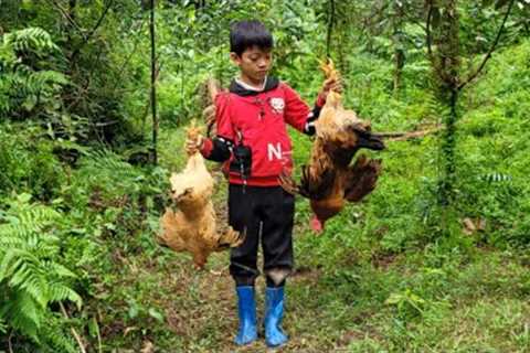 FULL VIDEO 10-DAY: Bac's survival skills when living alone: catching fish, trapping wild chickens.