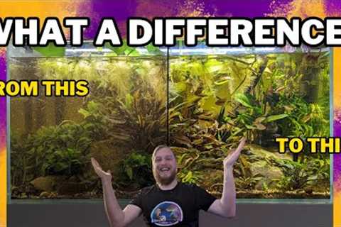 Cleaning the Fluval FX2 after 3 months. The importance of a clean filter!
