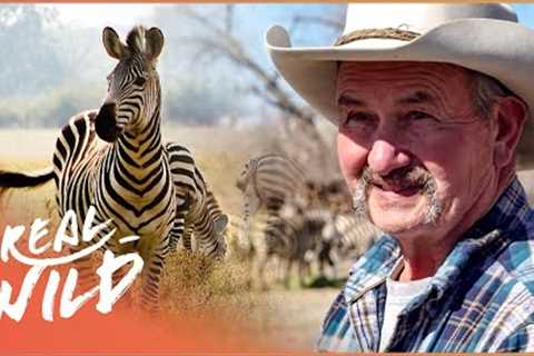 The World's Weirdest Exotic Pets | Predator Pets | Real Wild