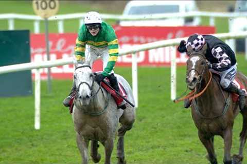 😲 HIGH DRAMA! Jockey eases up too soon but his horse picks up again and still manages to win!